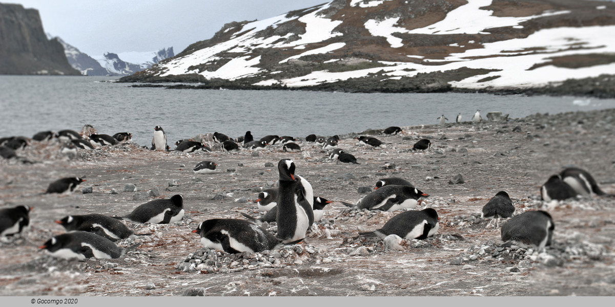 Aitcho Islands