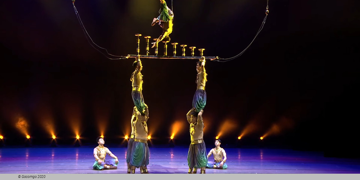 Beijing Acrobatic Show and Peking Duck Dinner