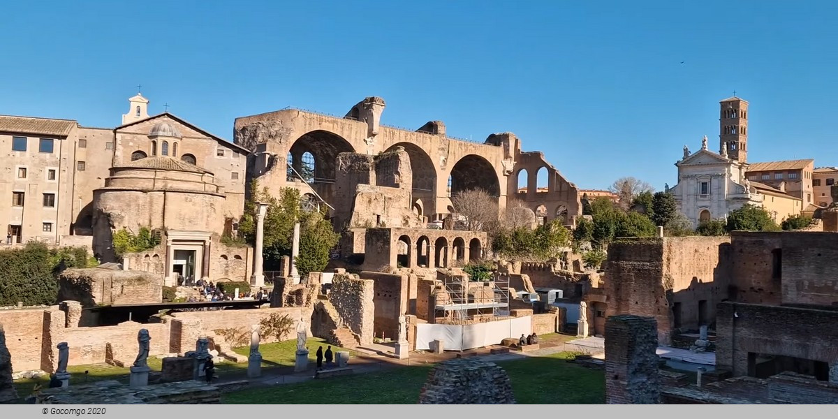 Guided Tour to the Colosseum, Roman Forum and Palatine Hill