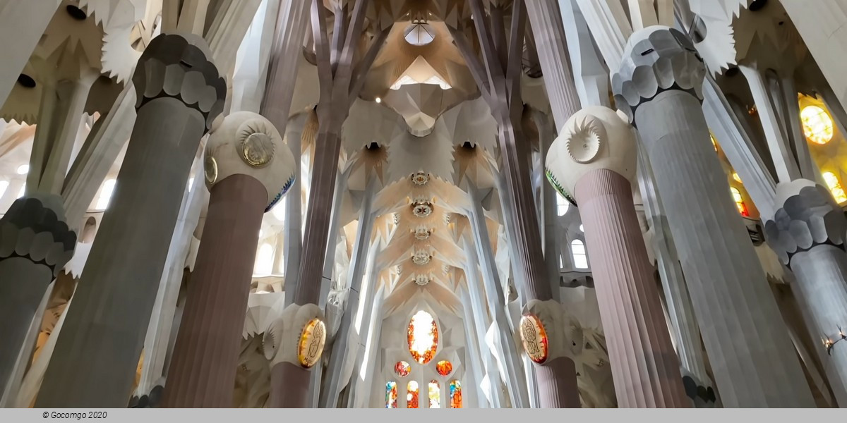 Sagrada Familia Skip-the-Line Entry Ticket (Towers not included)