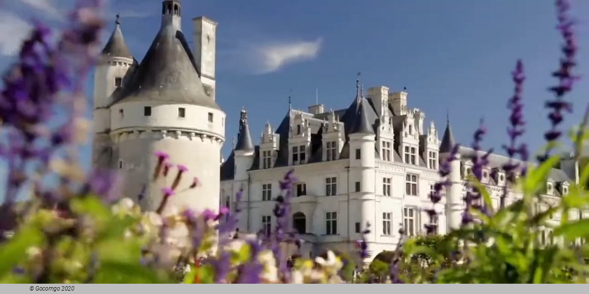 Loire Valley Castles Tour from Paris and Wine Tasting