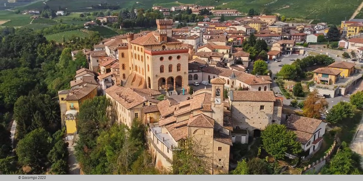 Tour from Milan: Barolo wine tasting, Alba town and UNESCO Castle Heritage