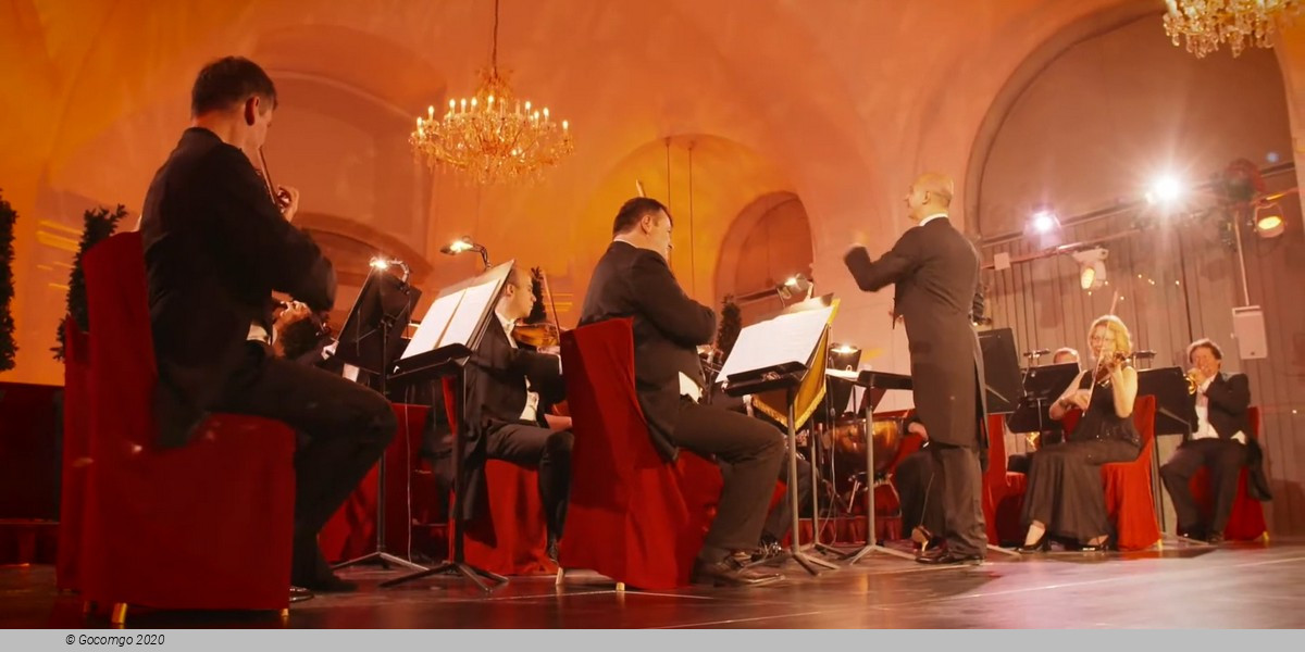 Evening at the Schönbrunn Palace Vienna: Classical Concert and Dinner