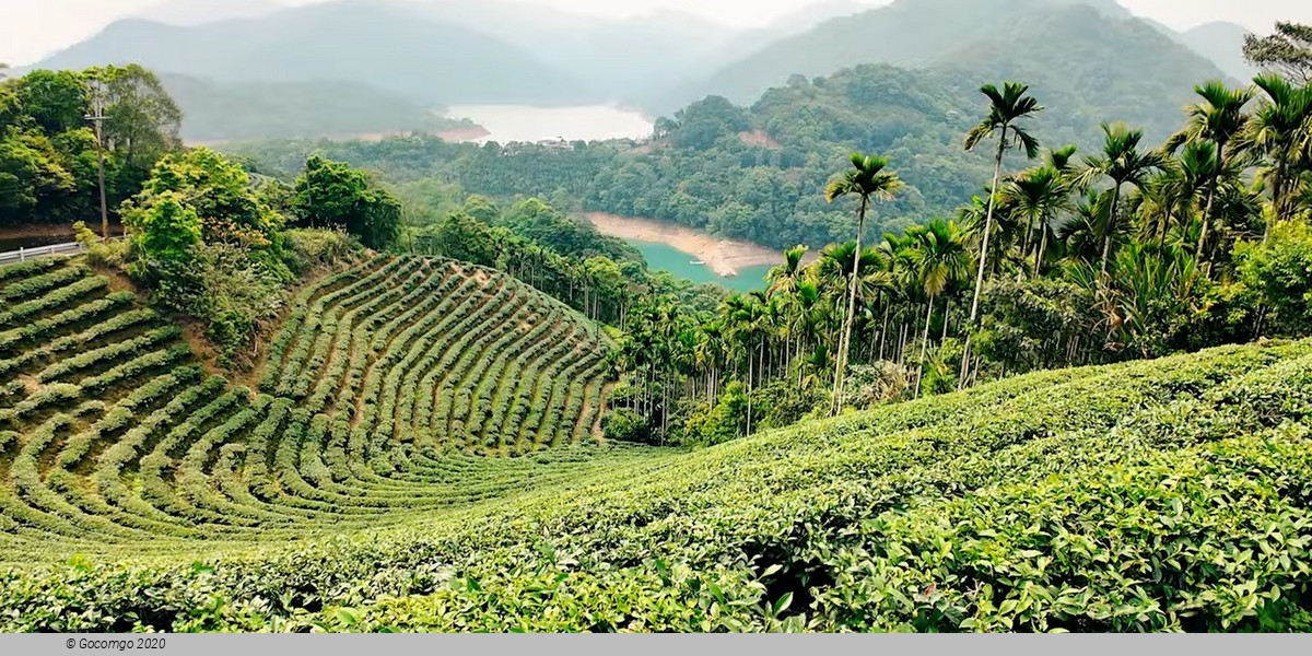 Thousand Island Lake and Pinglin Tea Plantation Tour from Taipei