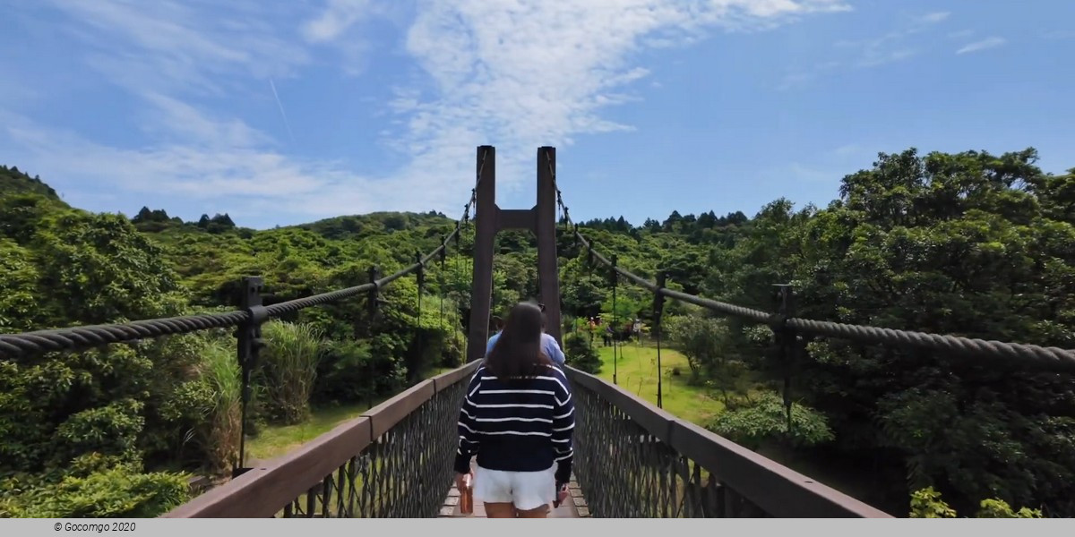 Beitou and Yangmingshan Day Tour from Taipei