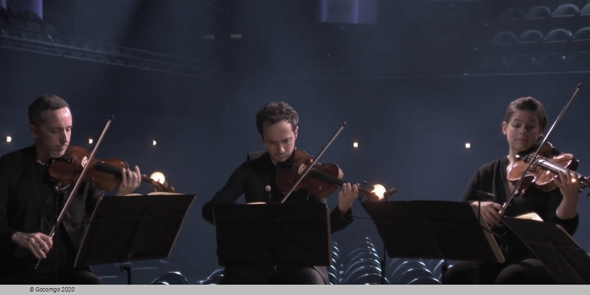 Quatuor Ébène, photo 3