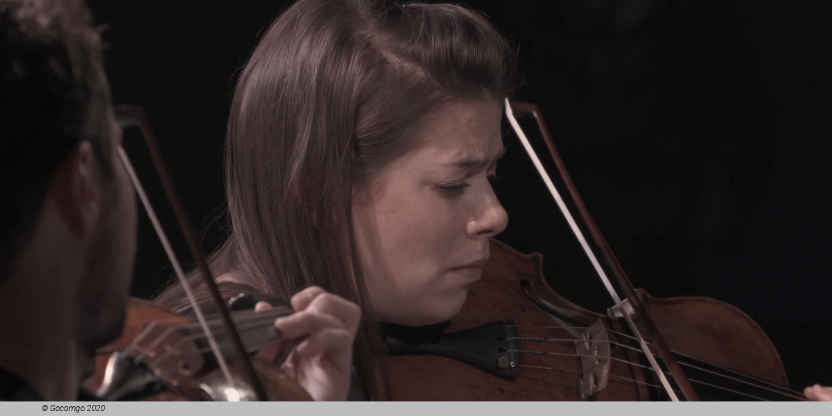 Quatuor Ébène, photo 4