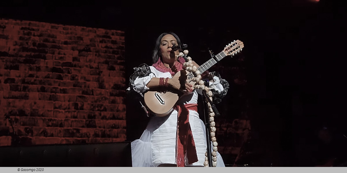 Lila Downs “Cambias mi Mundo”, photo 1