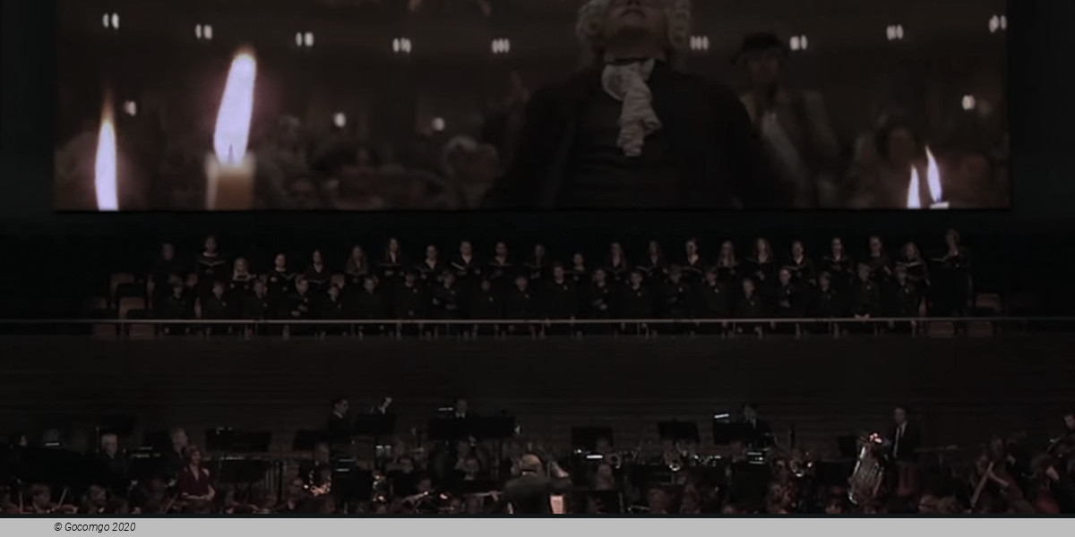 Amadeus LIVE, photo 2