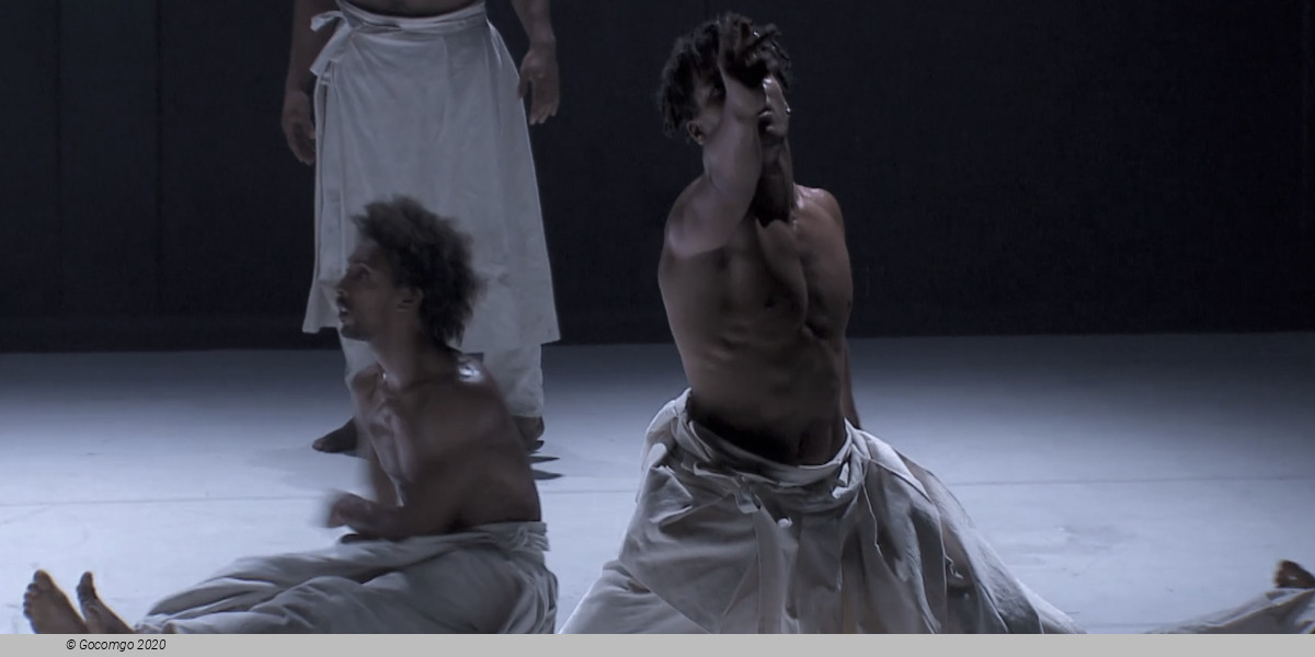Hervé Koubi – What the Day Owes to the Night, photo 5