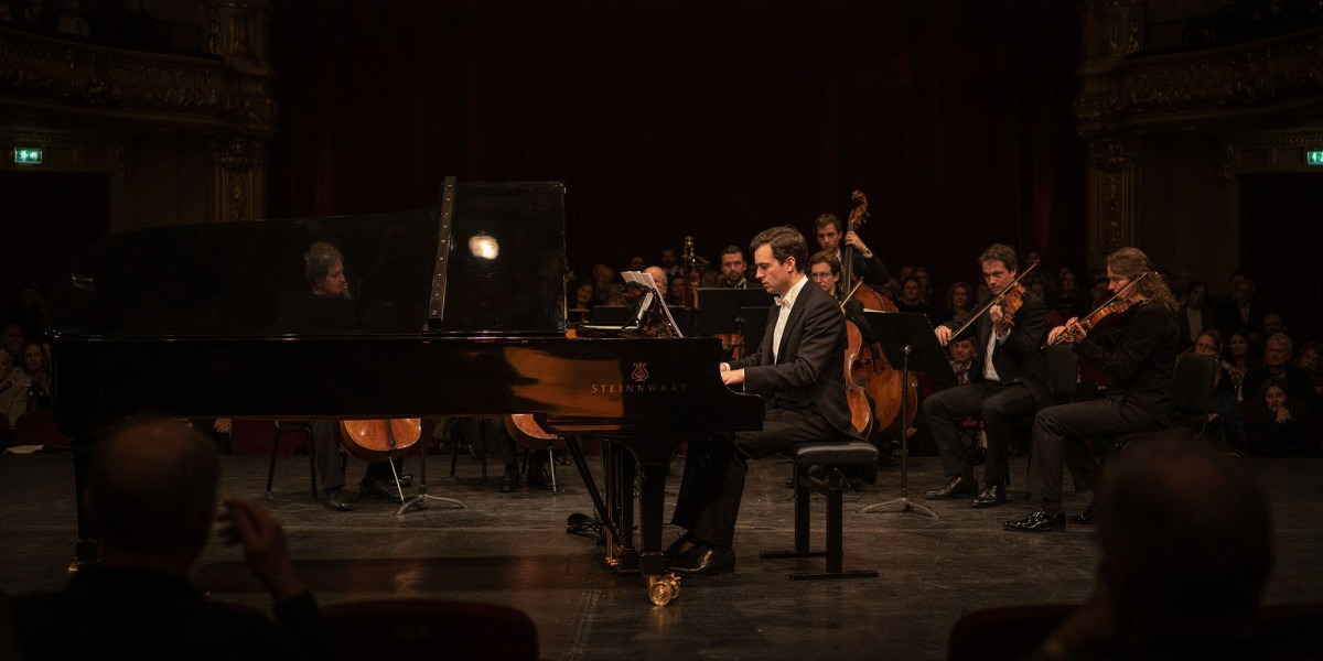 Pierre-Laurent Aimard, photo 1
