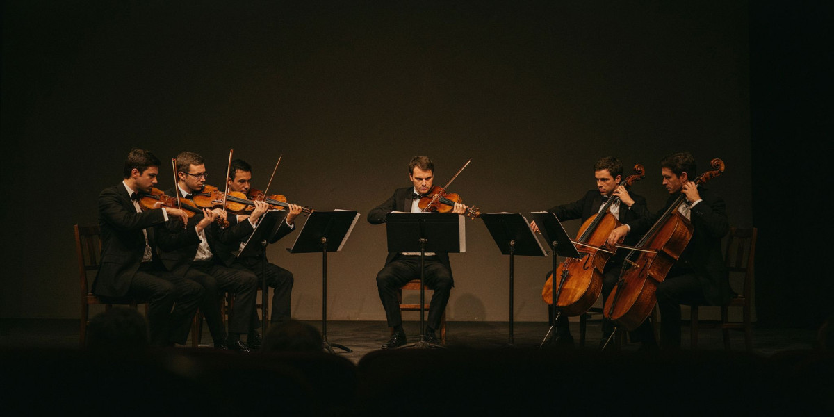 Danish String Quartet / Johannes Rostamo, photo 1