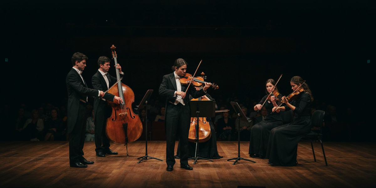 Timothy Ridout / Munich Chamber Orchestra, photo 1