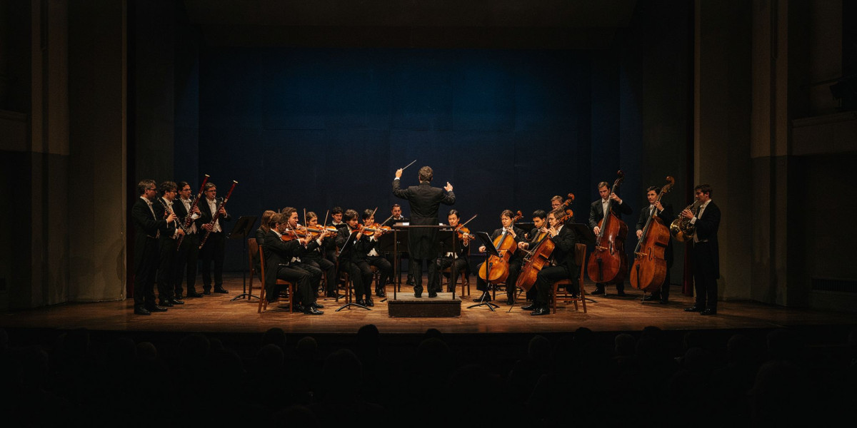 Mozart Revealed, photo 1