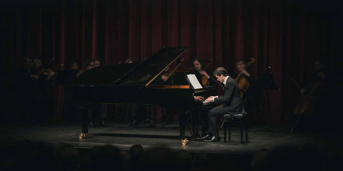 Robert Levin, photo 1