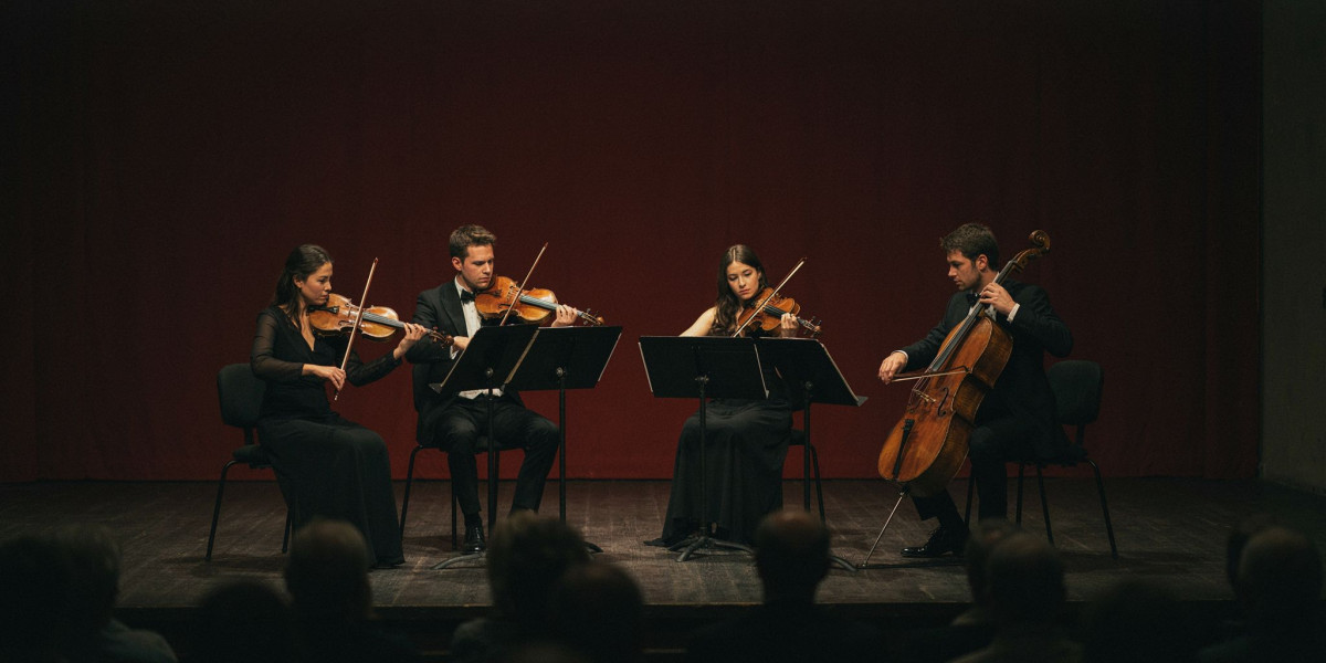 Opus13, photo 1