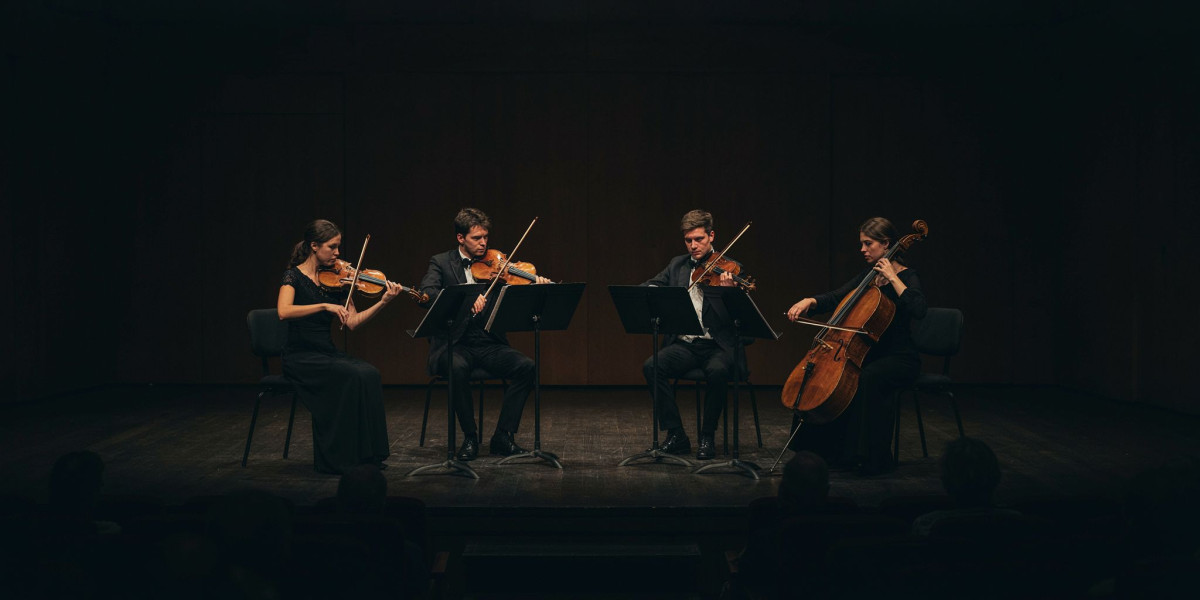 NOVO Quartet, photo 1