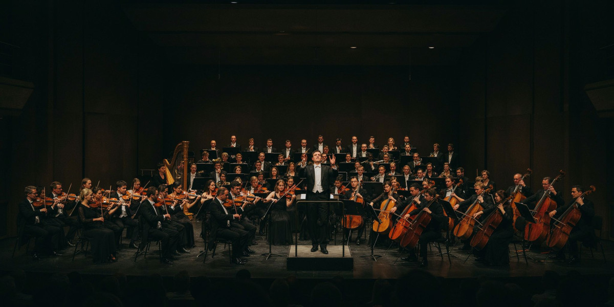 Bruckner 9, photo 1