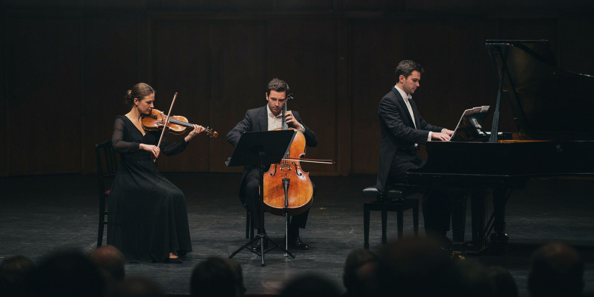 Soloists of the Kronberg Academy / Kirill Gerstein, photo 1