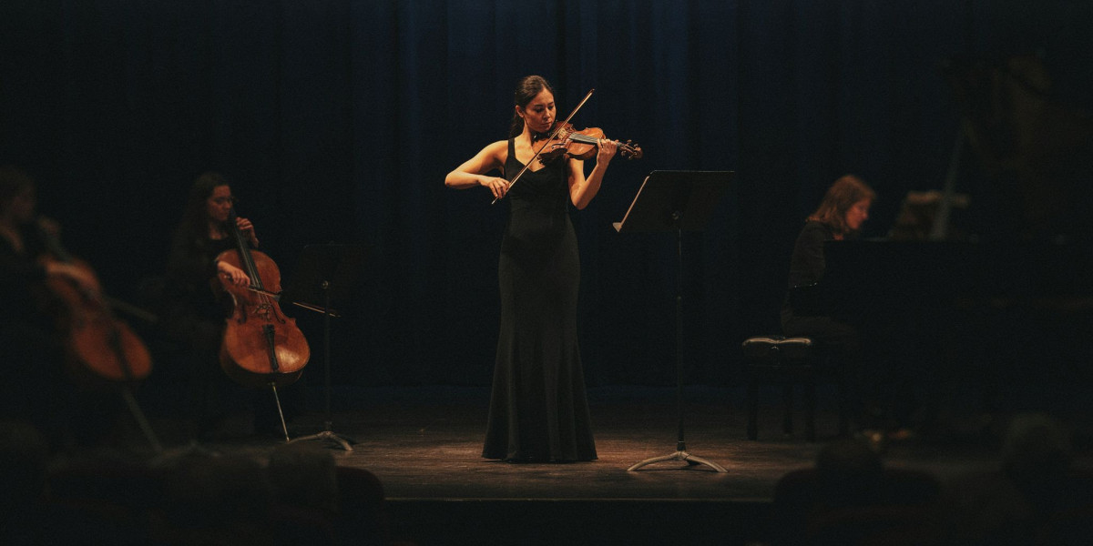 Unaccompanied Bach, photo 1