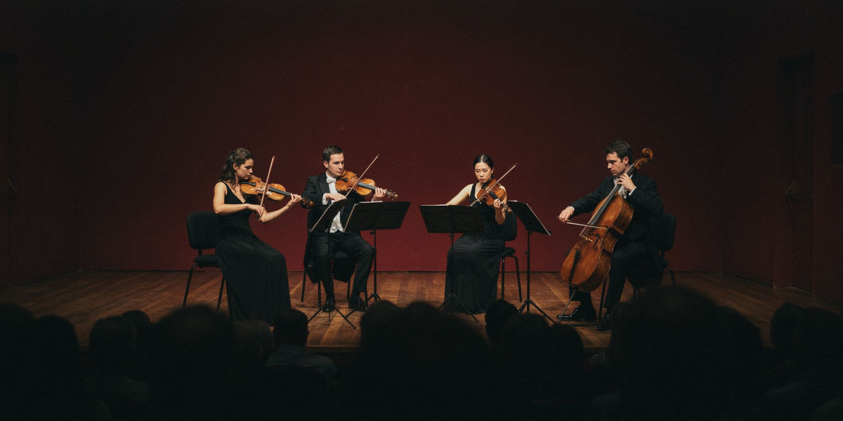 Elias String Quartet, photo 1