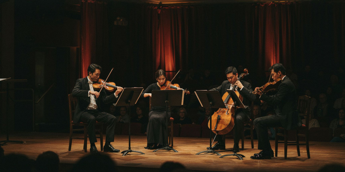 Modigliani Quartet, photo 1