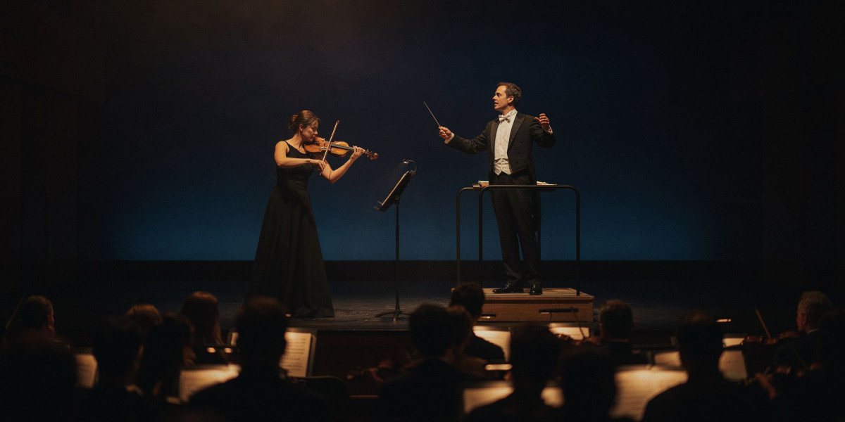 Spotlight on the Violin, photo 1
