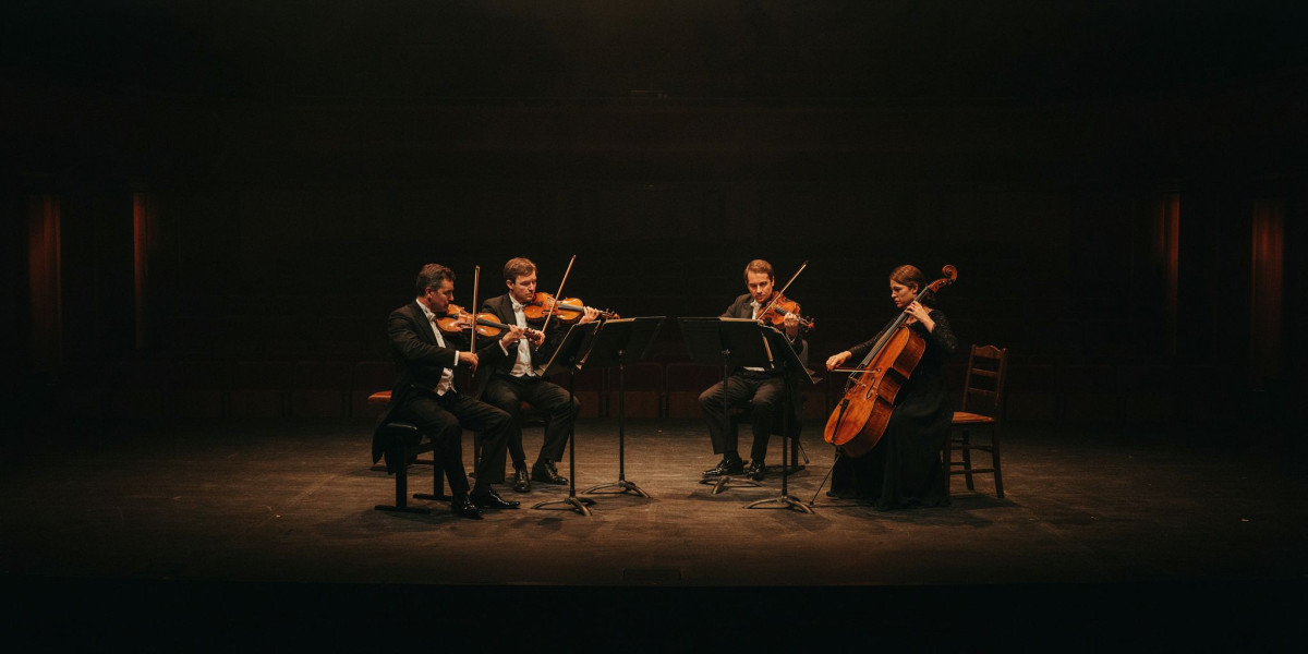 Leonkoro Quartet / Zeb Soanes, photo 1