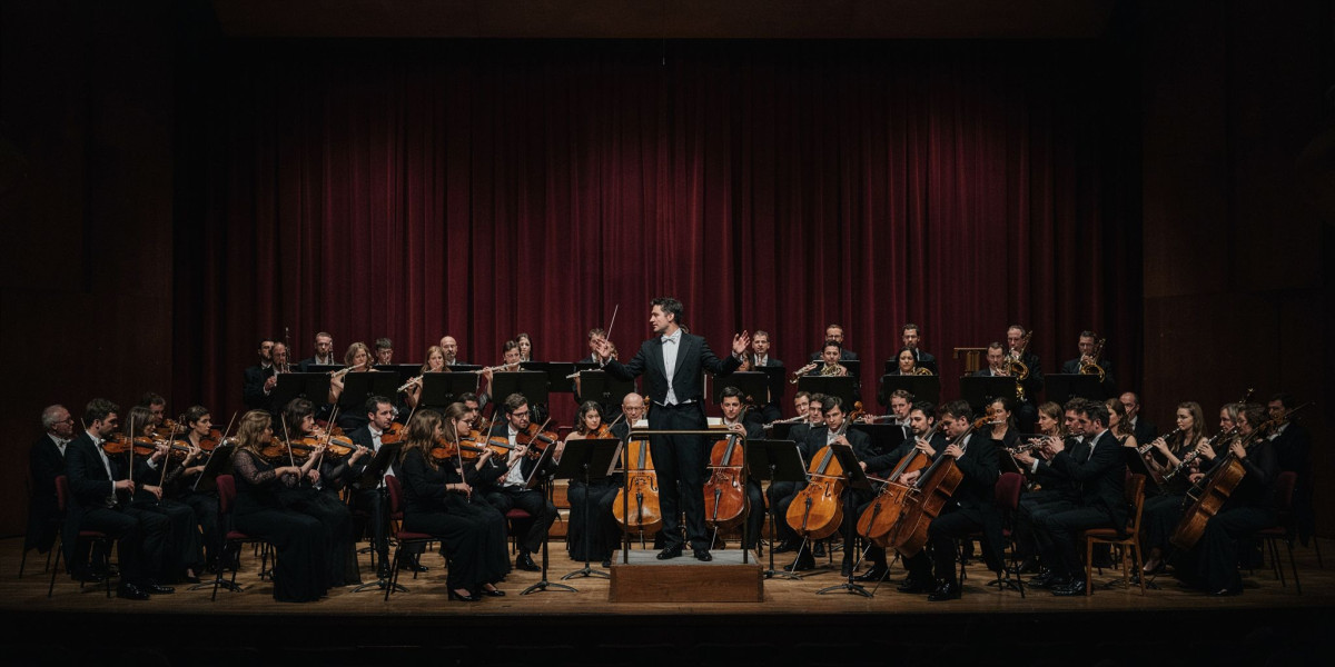 Shostakovich 8, photo 1