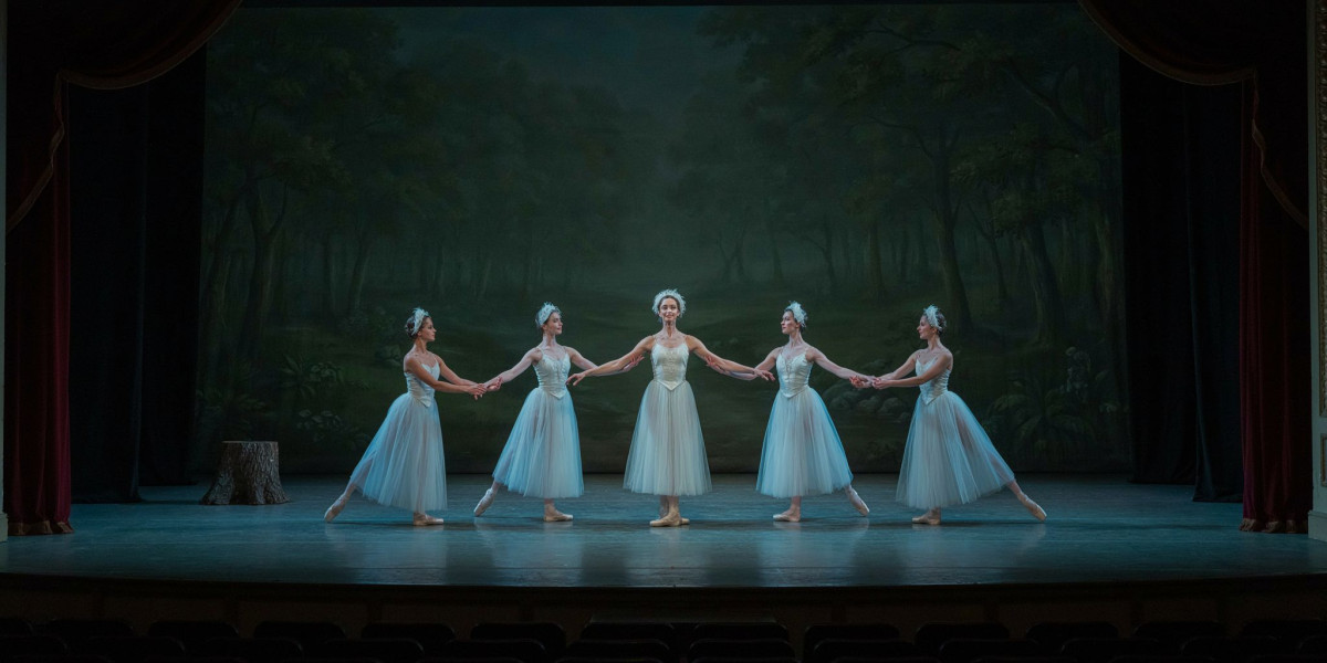 Swan Lake, photo 1