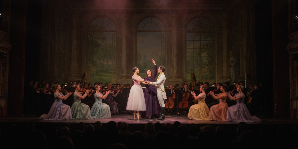 The Sleeping Beauty, photo 1