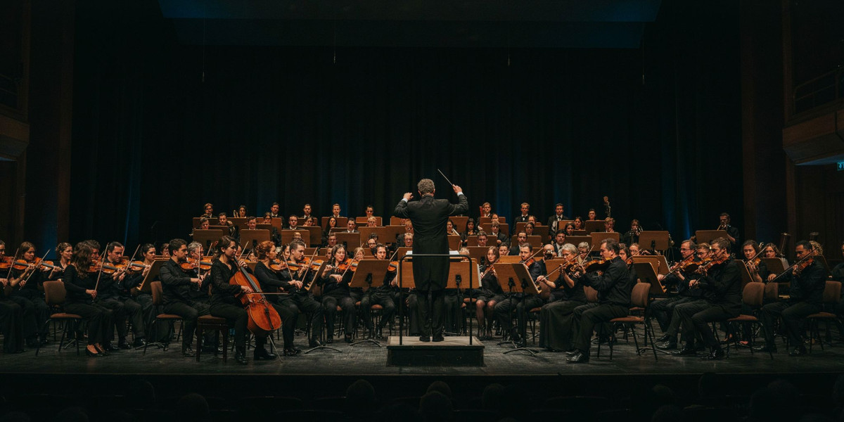 Gianandrea Noseda & David Cohen, photo 1