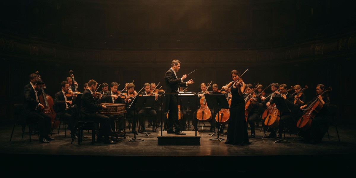Vivaldi For Many, photo 1