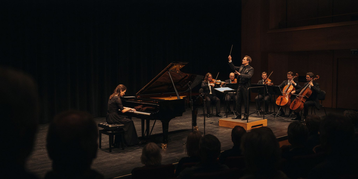 Kristian Bezuidenhout plays Beethoven, photo 1