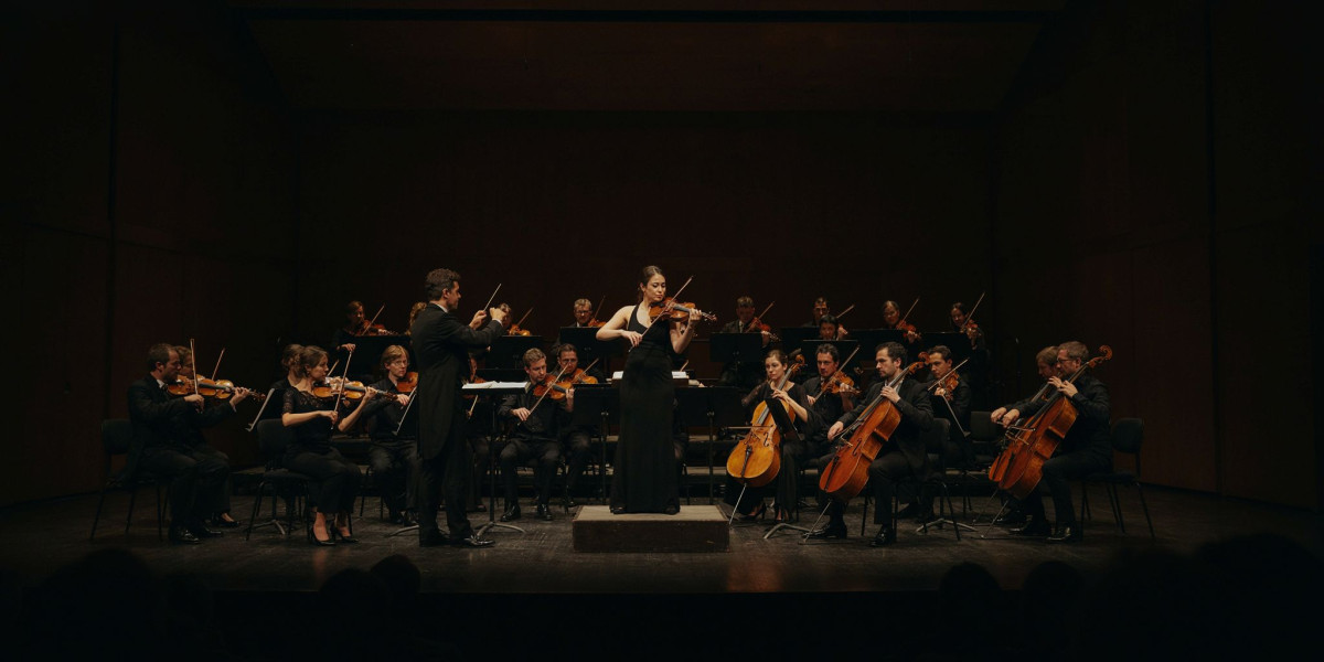 Autumn 2026 Concert | Bruch and Sarasate, photo 1