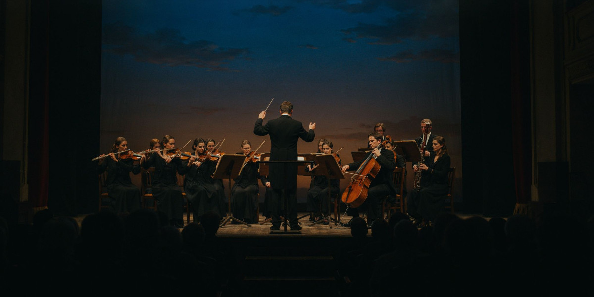 Düsseldorf Symphony Orchestra, photo 1