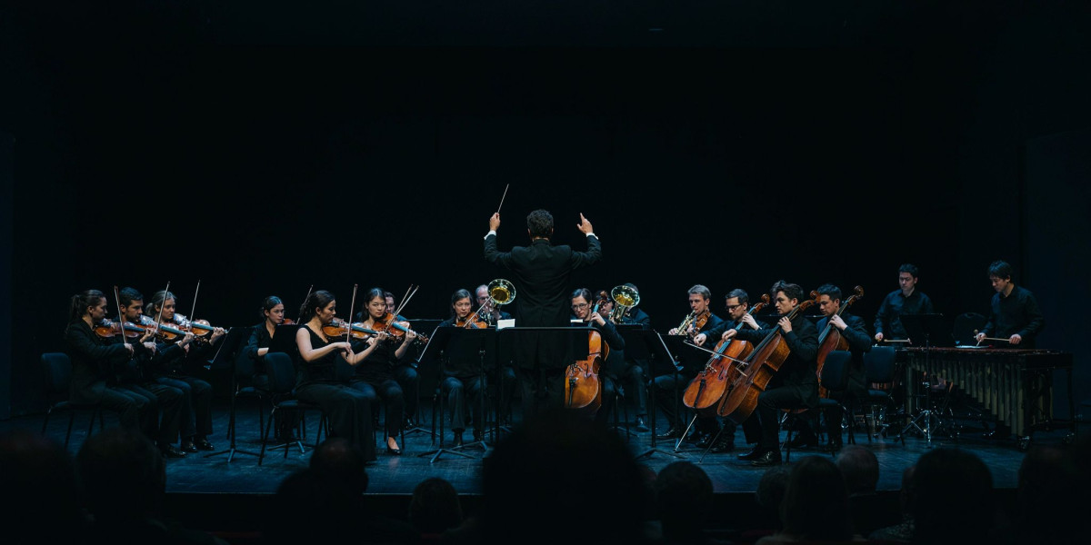 Maverick in Concert, photo 1