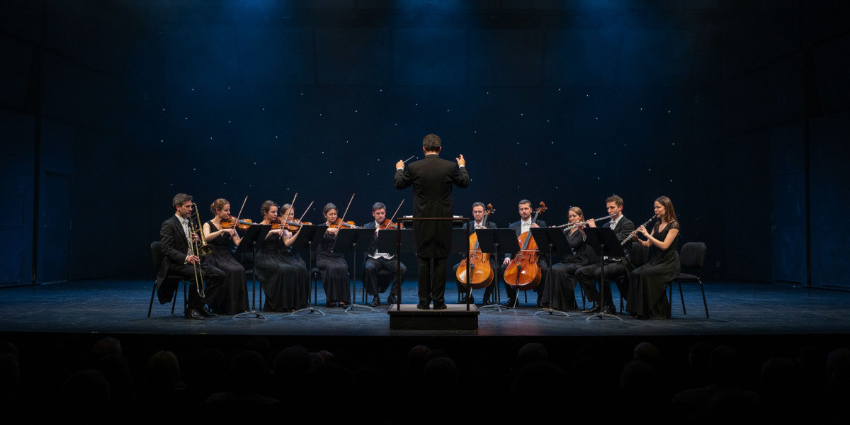 John Wilson and Sinfonia of London, photo 1