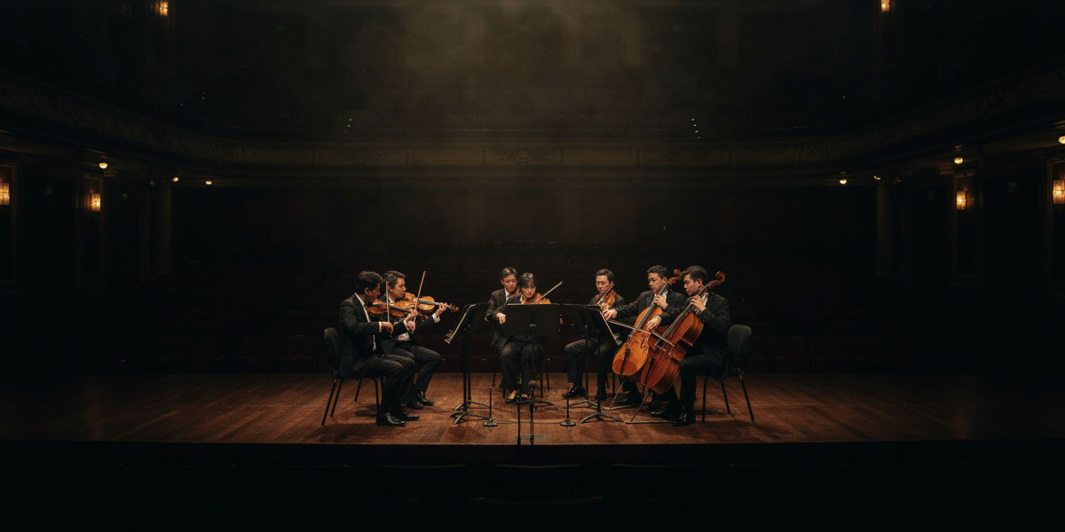Vision String Quartet; Bryan Cheng, photo 1