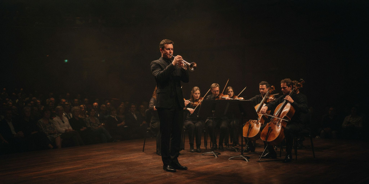 Matilda Lloyd; Goldmund Quartet, photo 1