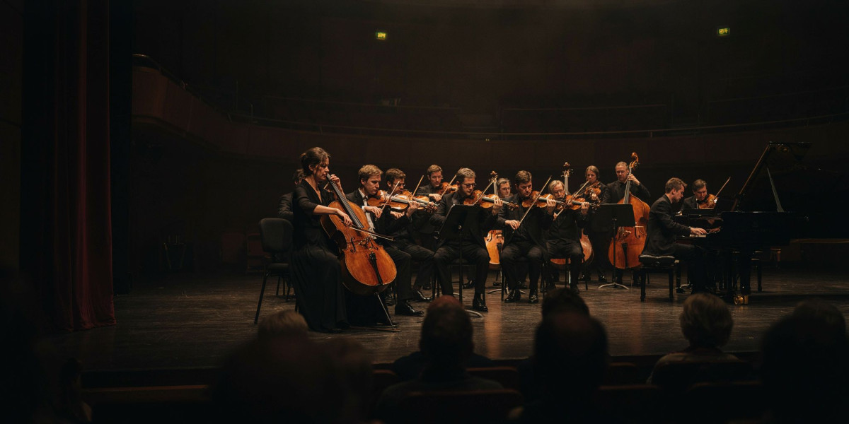 Nash Ensemble, photo 1