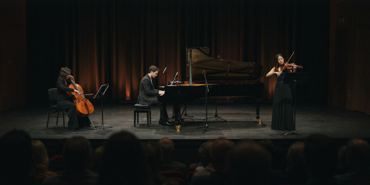 Trio Concept, photo 1