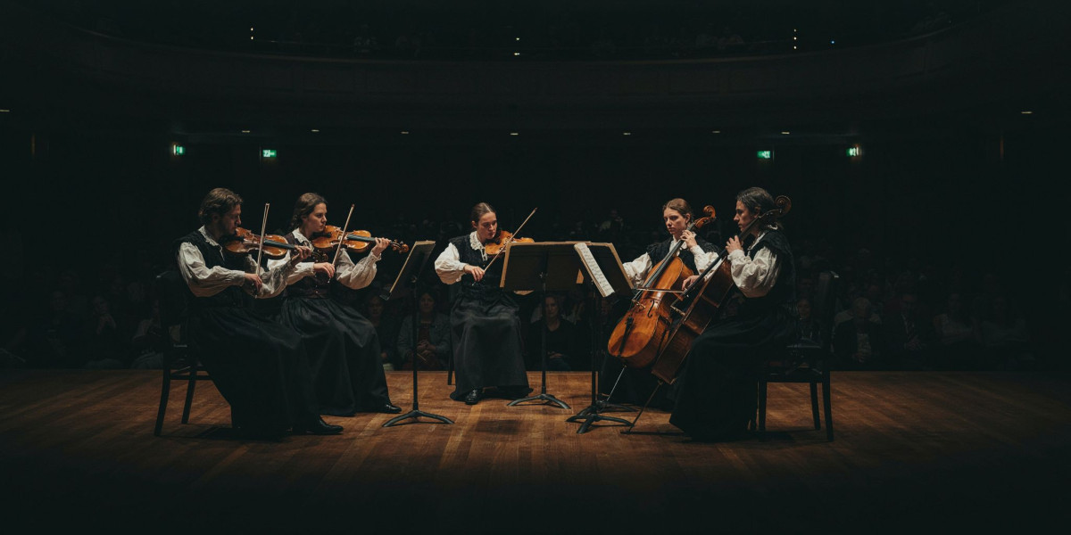 Renaissance String Quartet, photo 1