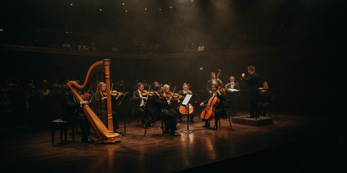 Phaedra Ensemble: Lines Made by Walking, photo 1