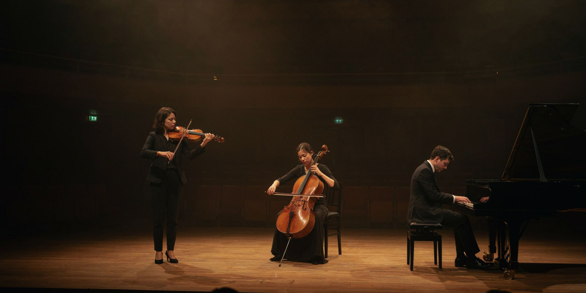 Neave Trio & Tango Movement, photo 1