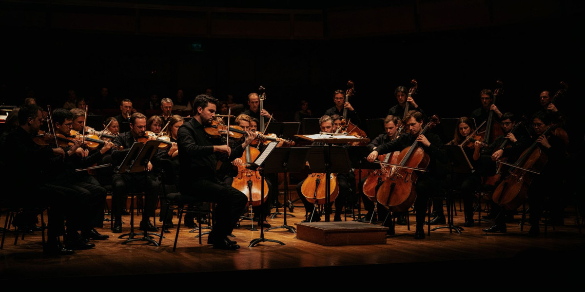 Manchester Camerata & Timothy Ridout, photo 1