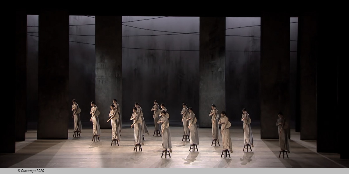 2026 Chinese Dance Gala, photo 1