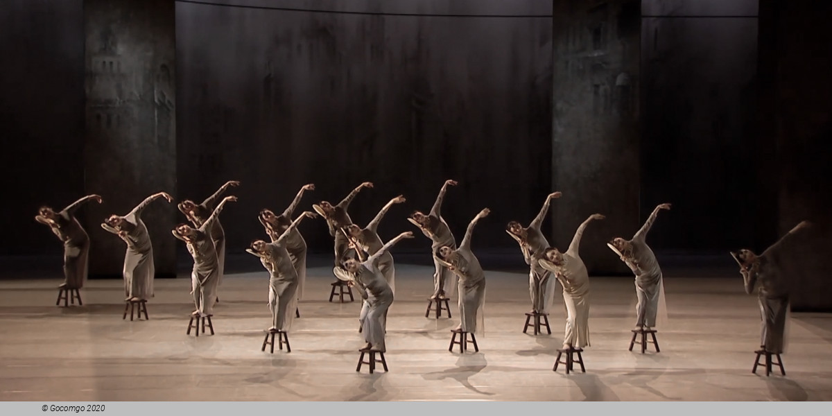 2026 Chinese Dance Gala, photo 2