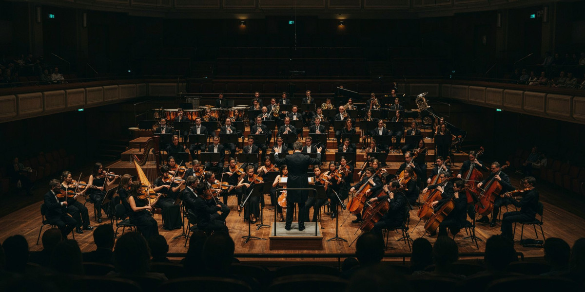 Orchestral Masterworks: Bartok & Beethoven, photo 1