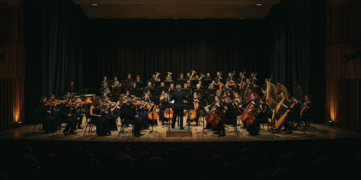Fantasia Orchestra, photo 1